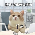 498乪3yuhjeowajgierijgjg