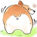 瞬间的瞬间Oo
