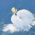 ninilive