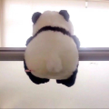 背离信仰之光