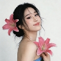 维维子VV