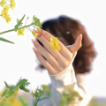晚星听雾