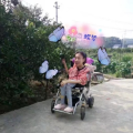 轮椅蝶梦