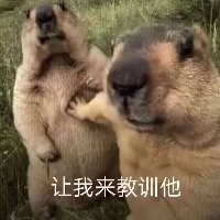 挚爱菱纱d