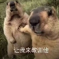 挚爱菱纱d