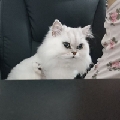 你给我果赖z