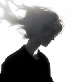 Aaa蜡毛小新