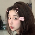 小米霸王龙