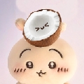 晚安小椰子u