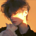 藏宝ov