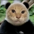小狗略略