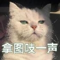 小hy-GSyGmfhjsY