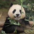 老船长丶丶丶
