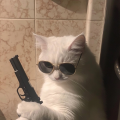 林ttt