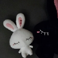 欧阳葵葵