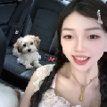傲娇呆萌小师妹