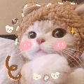 玥昇丶