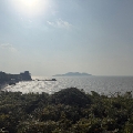 小橙陳