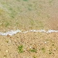 悲伤碎成海苔