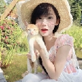 铁板小洋芋