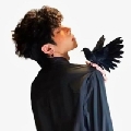 A-宝玉