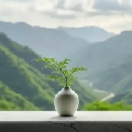 开开丶0510