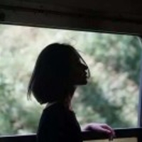 绿树成荫89631