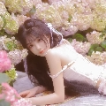 蘭七o