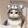 心有偏私