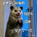 敲极汪仔碎冰冰