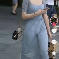 东洋歪种达摩