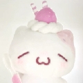 薯条大王ssr