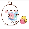 z孑7