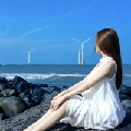 多米ovoo