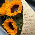 咪咪、贼大