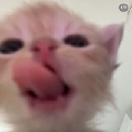 粥v粥