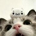 心安好梦zZz