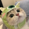 一只然O