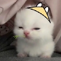 芝芝雪糕