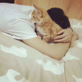 TheLucky丶