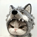 吕先生呢