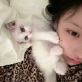 许诺-