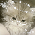 洛泱Flechazo