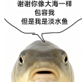 珂珂ki