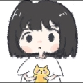 宝狸、