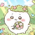 美食小猫