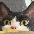 喜宴