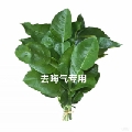 是大米嘢