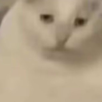 马脸的耋