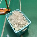 李欧马娜